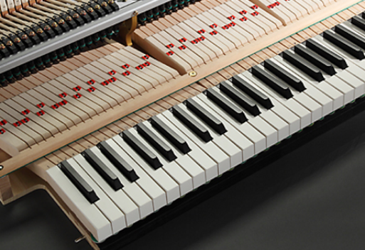 【白鷺琴音】調整分 白鷺琴音】調整分 白鷺琴音】調整分 白鷺琴音様 ご確認用 Amazon