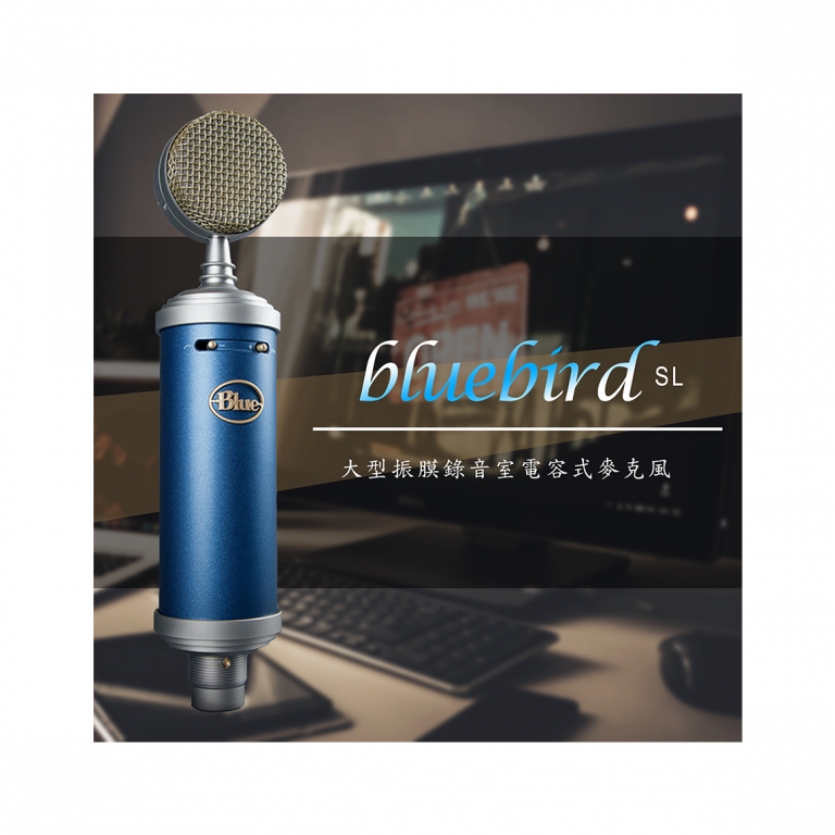美品 Blue Microphones Bluebird SL Blue Bluebird SLをレビュー。3万円台で人気のコンデンサー