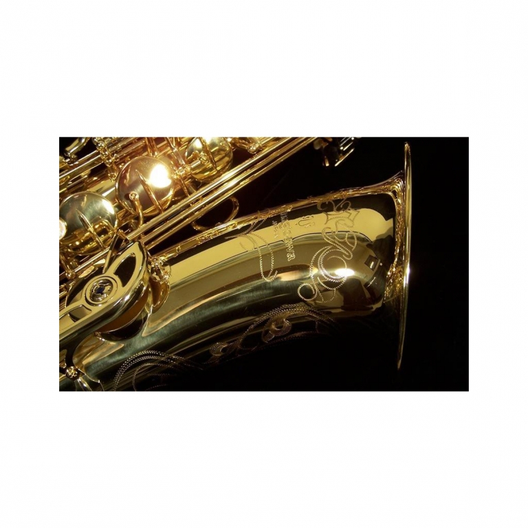 YANAGISAWA 柳澤T-WO10 Tenor Sax 次中音薩克斯風-金聲樂器音響 YANAGISAWA 柳澤T-WO10 Tenor Sax 次中音薩克斯風-金聲樂器音響