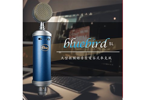 美國 Blue Bluebird SL 專業電容式麥克風