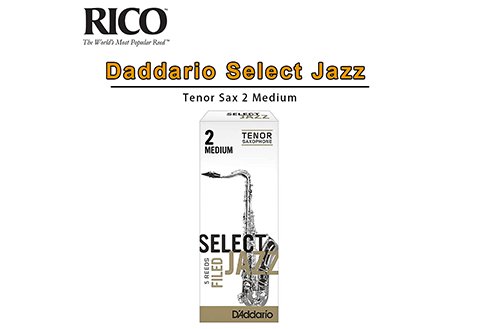 Rico Daddario Select Jazz Tenor Sax 次中音 薩克斯風 竹片 2 Medium