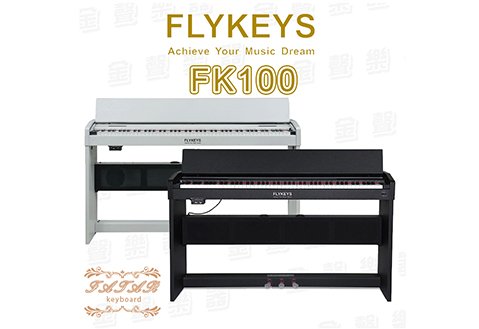 FLYKEYS FK100 超薄 直立式 電鋼琴 義大利 FATAR 鍵盤