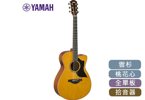 YAMAHA  AC5M 日本製 全單板 電木吉他