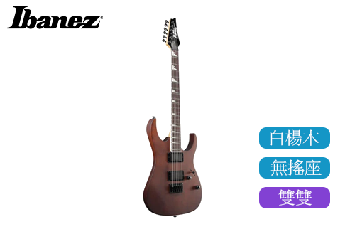 Ibanez GRG121DX 雙雙 金屬 原木色 電吉他