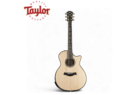 Taylor 914ce 全單板民謠吉他