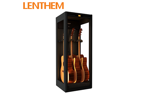 LENTHEM DMI-305DT 電/木吉他防潮箱