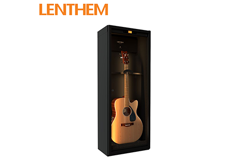 LENTHEM DMI-185D 電/木吉他防潮箱