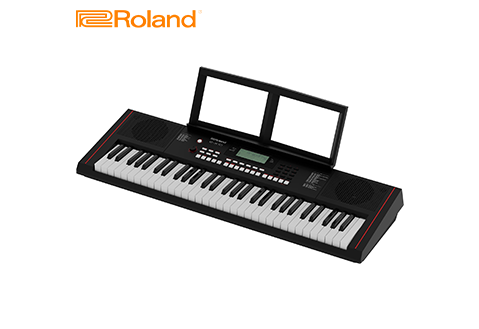 Roland E-X10 自動伴奏琴 61鍵 贈送延音踏板及交叉架