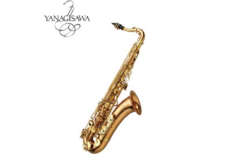 YANAGISAWA T-WO20 Tenor SAX 頂級次中音薩克斯風